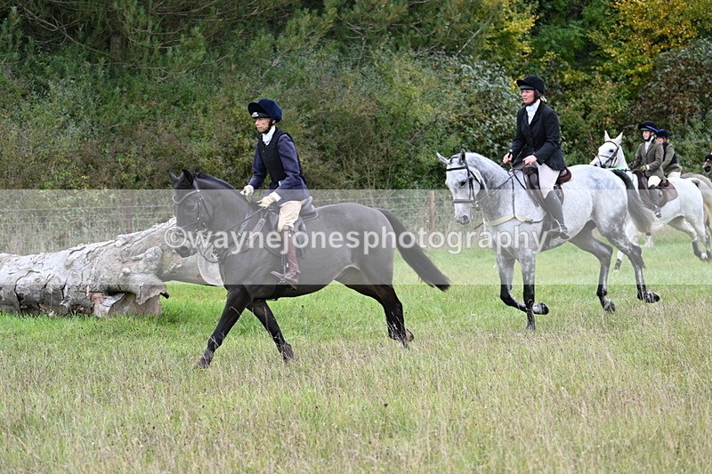 WJ7_3812 - Camera 1 Line 1