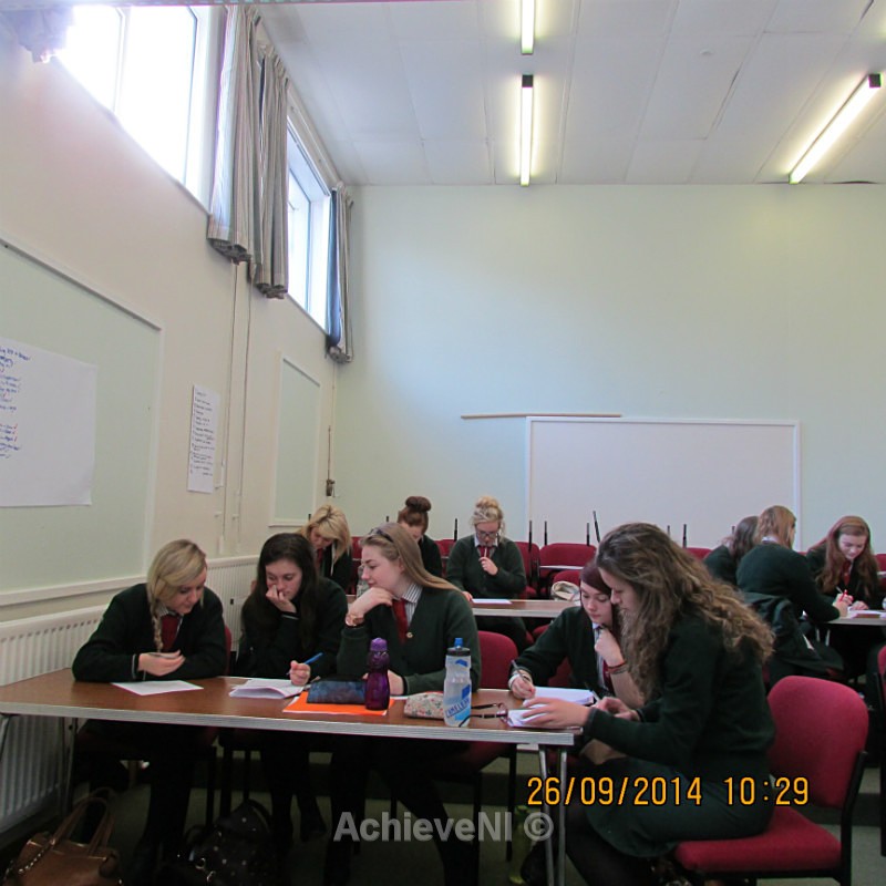  - Peer Mentoring 2014