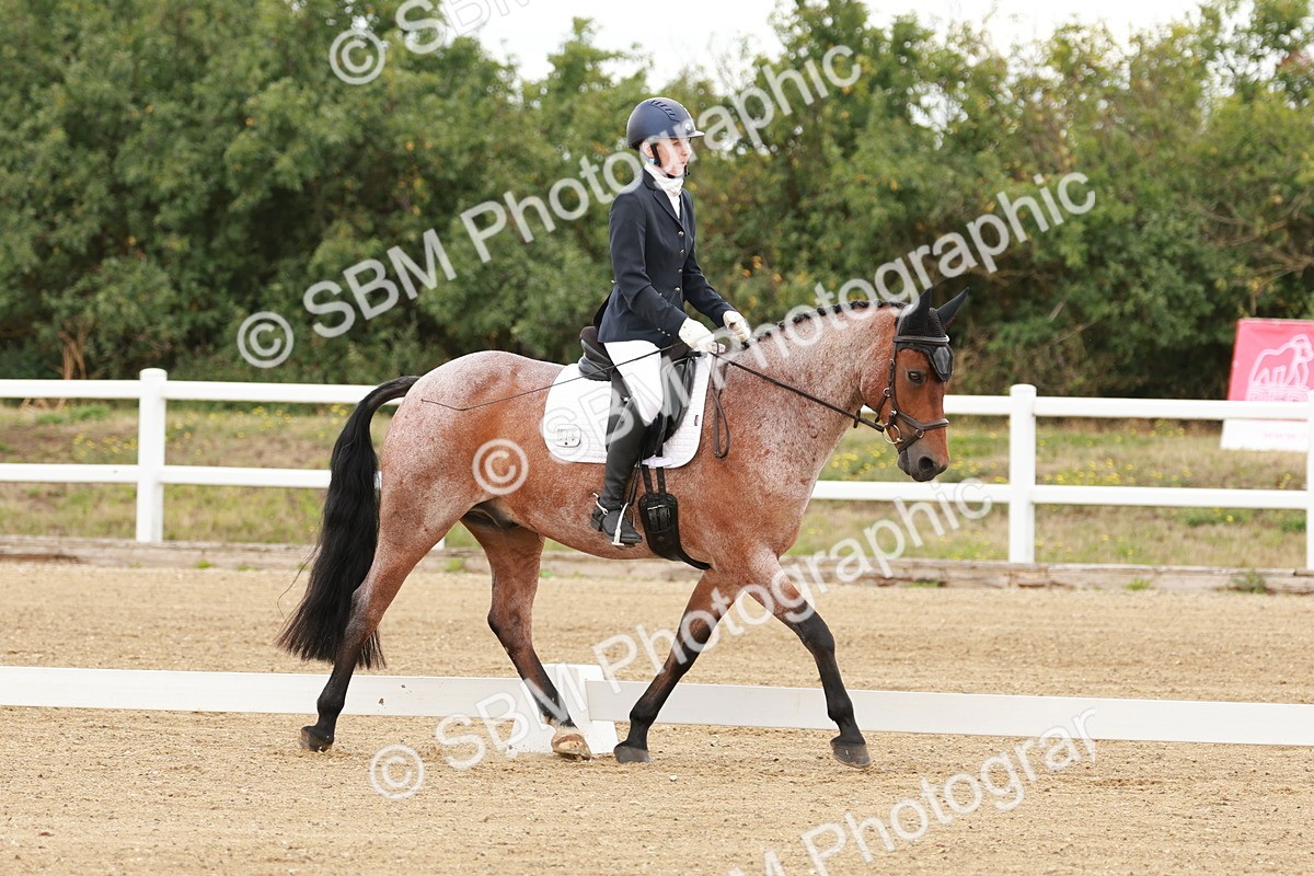 SBM_000623 - Class 2 - Prelim 6