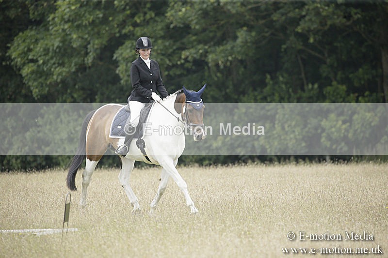 B230619-0636 - Bourne Valley Riding Club Summer Show 23/06/19