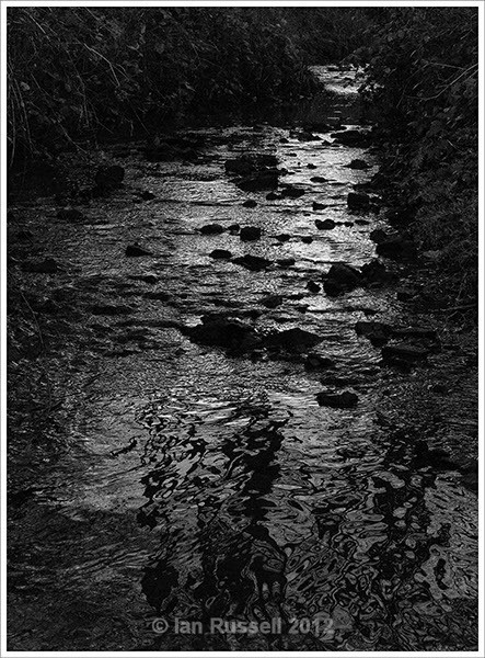 Dark water - Other Images