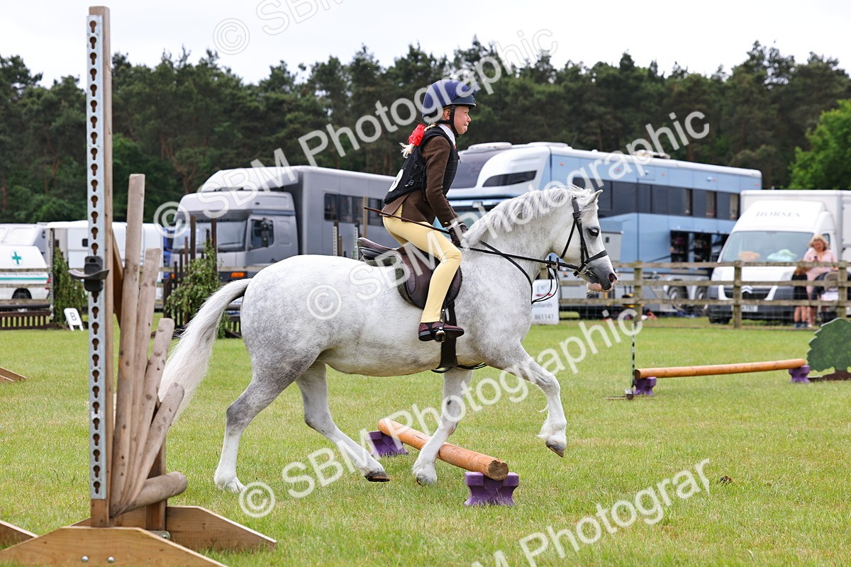 SBM_08625 - Class 42-43 - LIHS BSPS Heritage Working Sports Pony