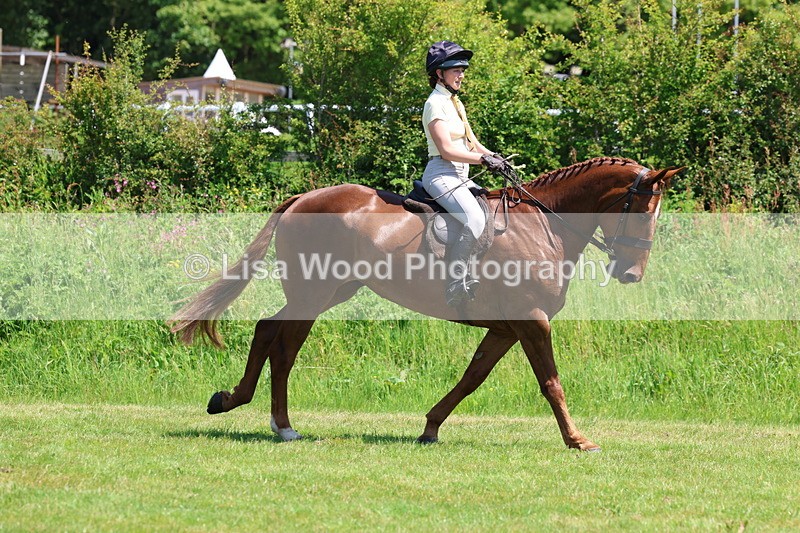 3E7A8056 - Working Hunter Championship