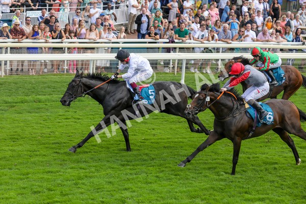 100923-Race 2-Florida-3802 - Race 2 2.15pm John And Judith Marshall Memorial Handicap