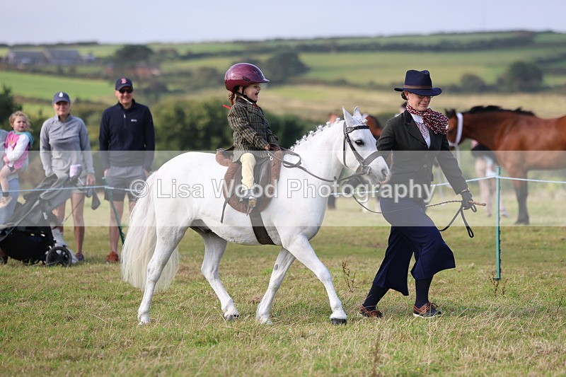 3E7A3348 - Class 2: Lead rein