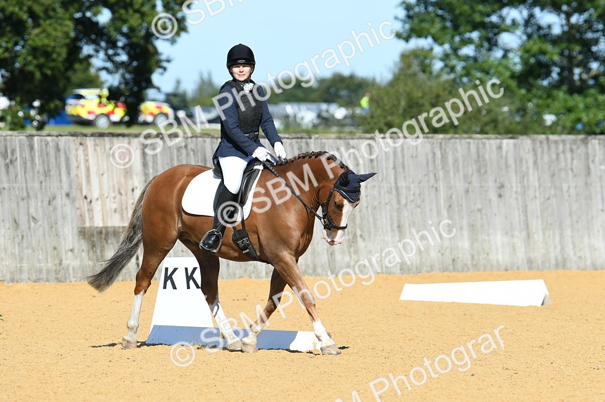 SBM_18127 - D4 - Small Tour Championship - Intro B