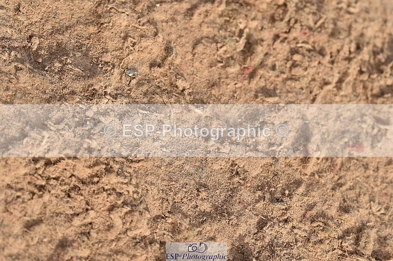 231015A-151602-08903 - Cls 26 1.05m Grand Prix