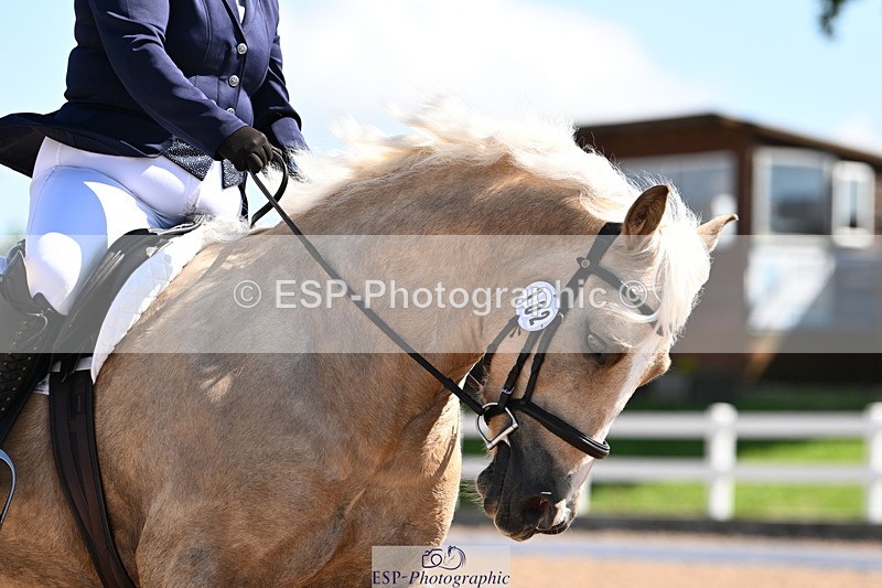 240621A-103518-01838 - Cls 2 BD Prelim 19