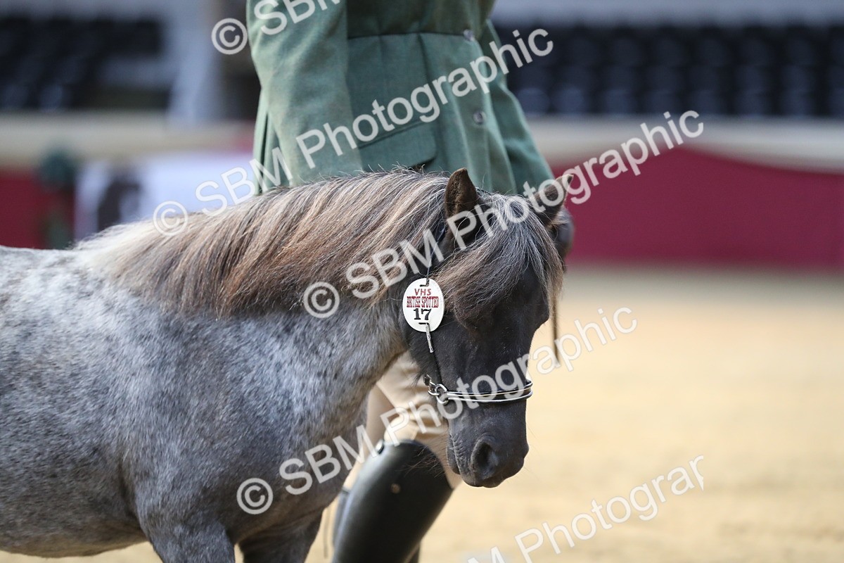 SBM_01275 - Class 3a Area IH Pre Vet