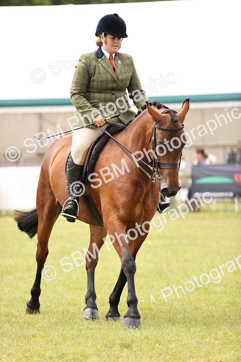 SBM_14596 - Class 88-89 - LIHS BSHA Rising Star of Ridden Hunter Type