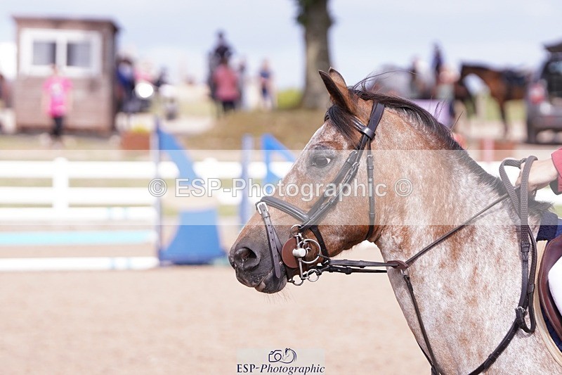 250629-170946-13171 - Cls 33 Stepping Stones 128cm and 138cm