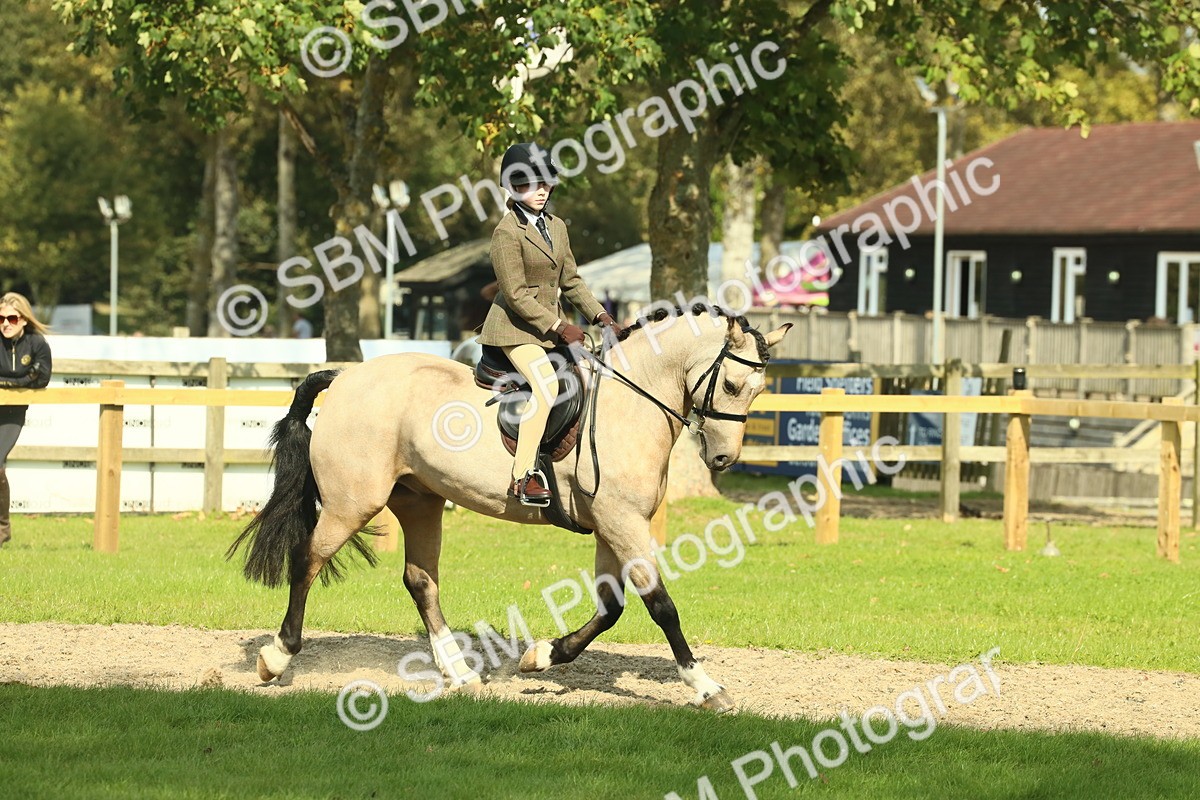 SBM_67618 - S56 - Coloured Pony Ridden