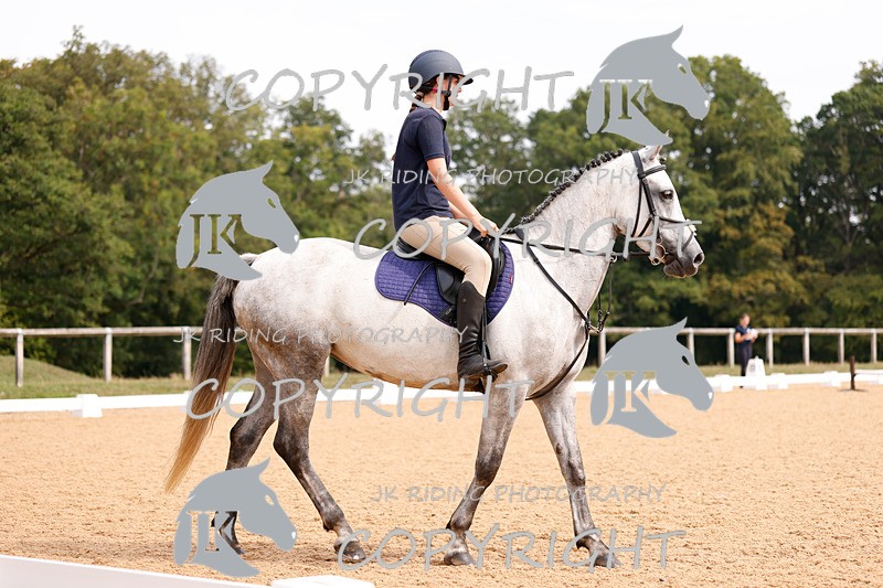 _R6A2556 - Dressage Morning