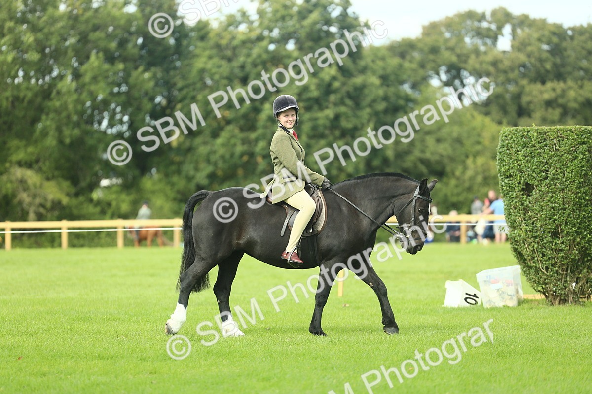 SBM_44862 - Working Hunter Pony Supreme Championship