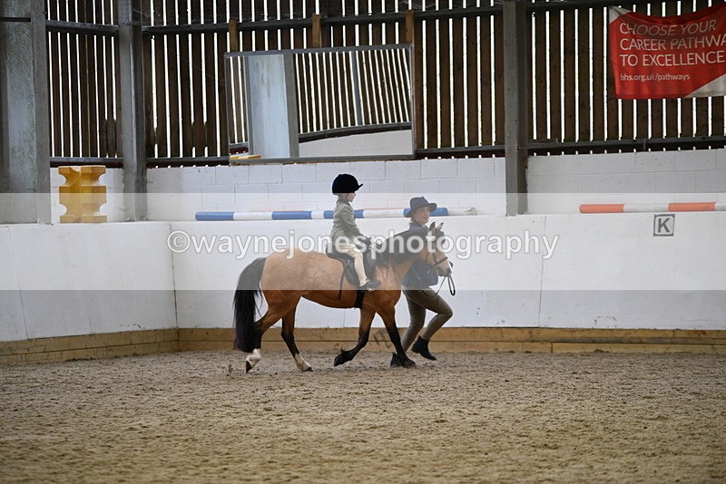 WJ5_6707 - Class 10 Childs Pony
