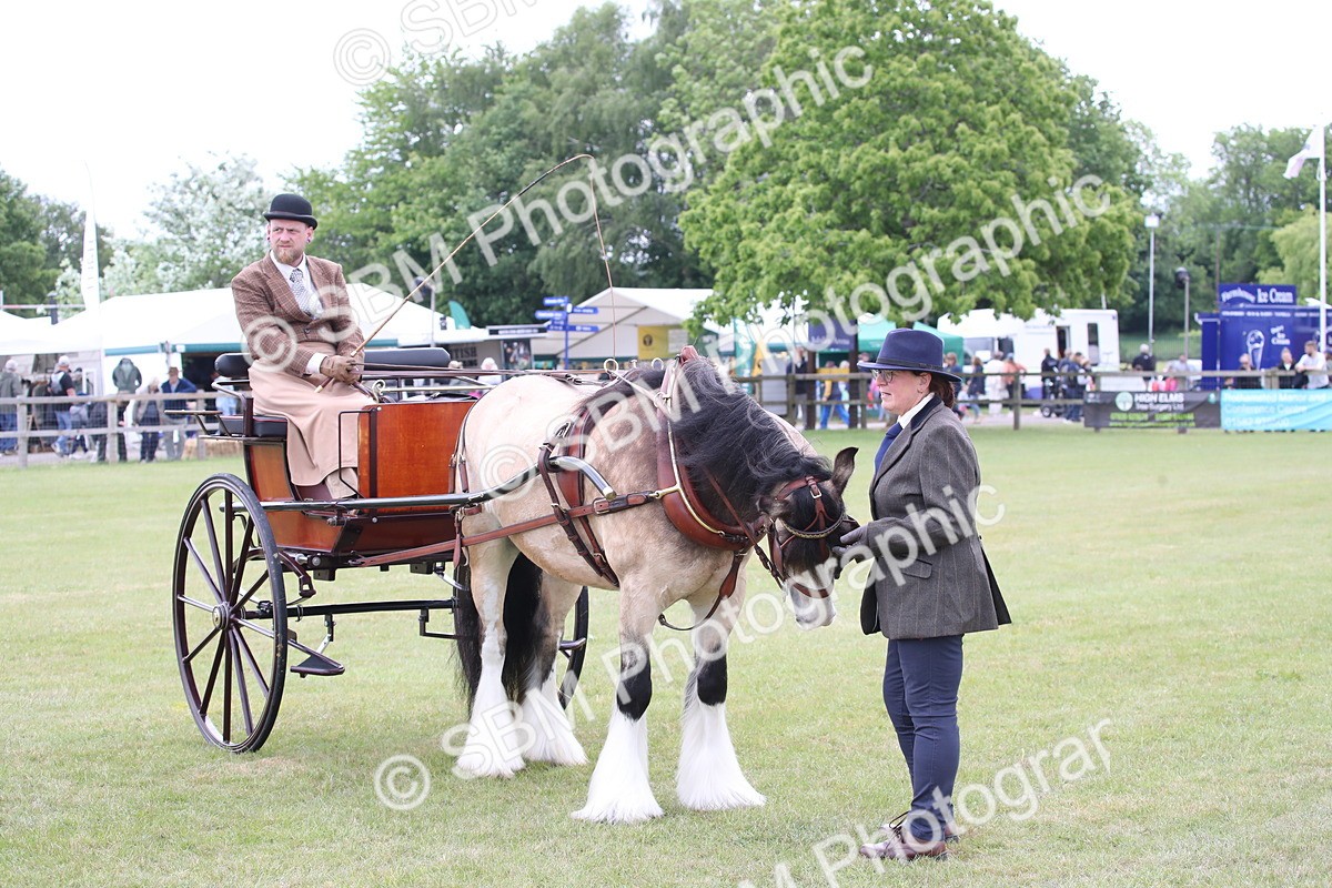 SBM_05680 - Class 12-15 - HOYS Private Driving