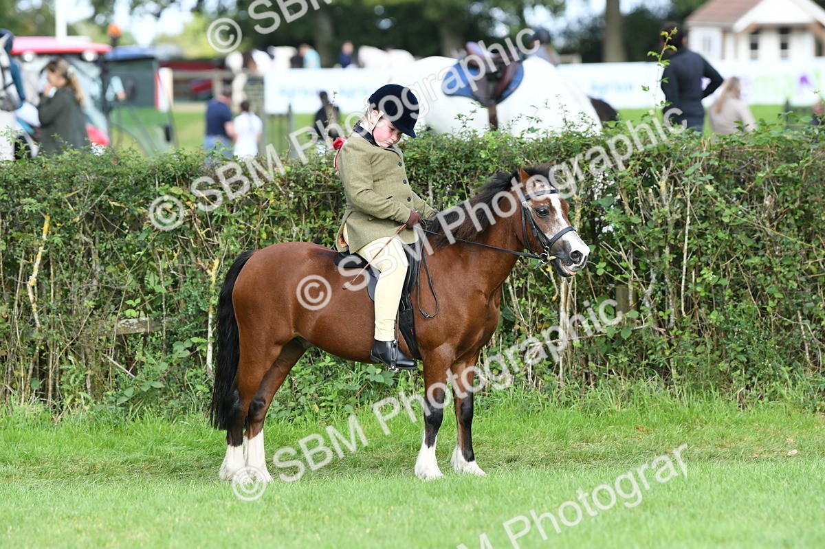 SBM_51880 - S21 - Novice & Newcomers 1st Ridden Pony