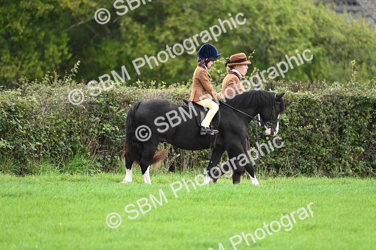 SBM_26543 - S7 - Novice & Newcomer Ridden Pony