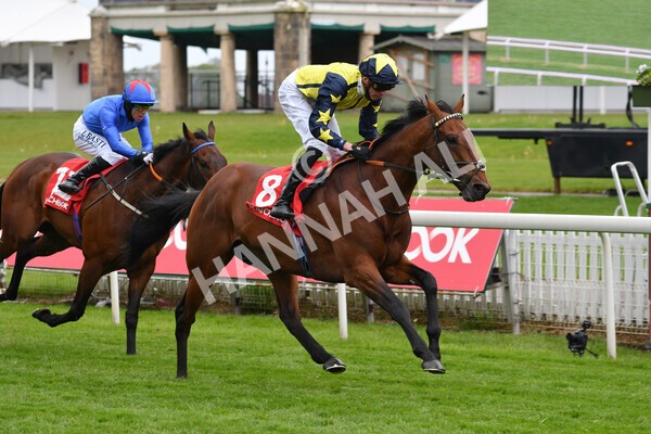 yr14052021r3-17 - Race 3 2.40pm The Matchbook Best Value Exchange Stakes