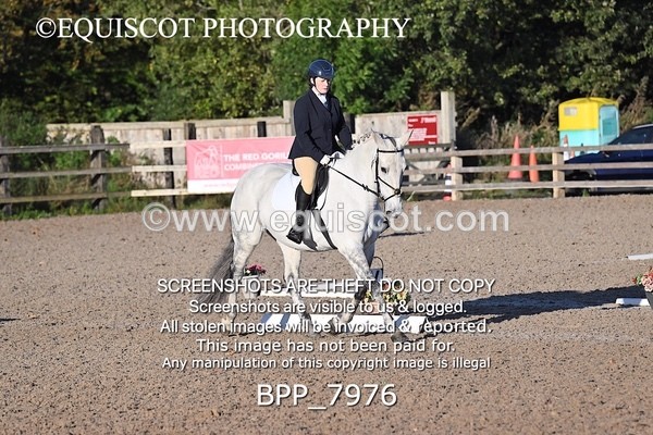 BPP_7976 - LONG ARENA
