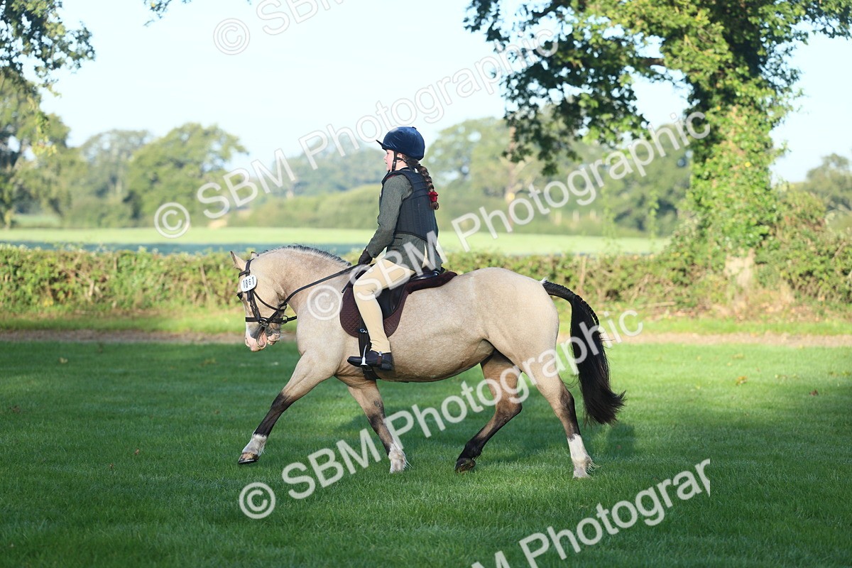 SBM_31842 - S28 - Nursery Stakes Working Hunter Pony