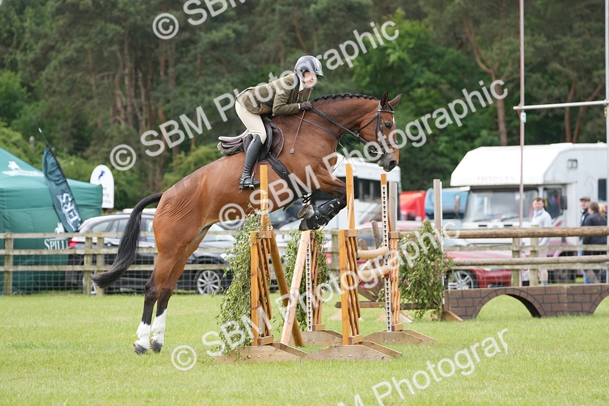 SBM_14952 - Class 100-102 - RIHS Working Hunter
