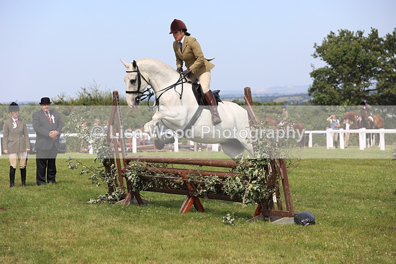 JPP_3664 - Class 23: Working Hunter 80cm