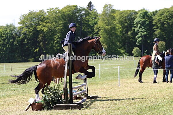 IMG_3477 - Working Hunter
