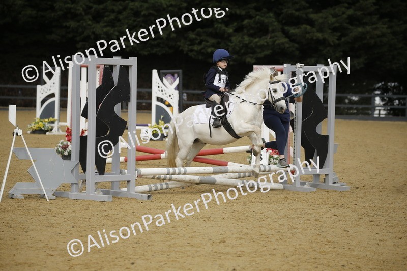 20250622-1311 - 40cm