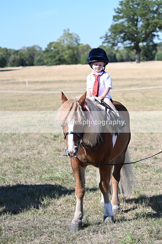 WJ7_2161 - Class 44 Child's Best Friend