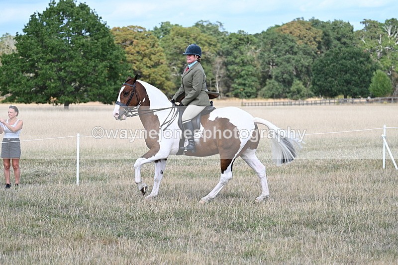 WJ7_6961 - Class 14 Ridden Coloured