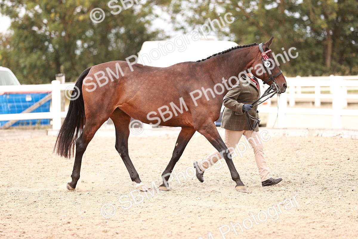 SBM_16279 - Class 413 - Best Condition - Adult