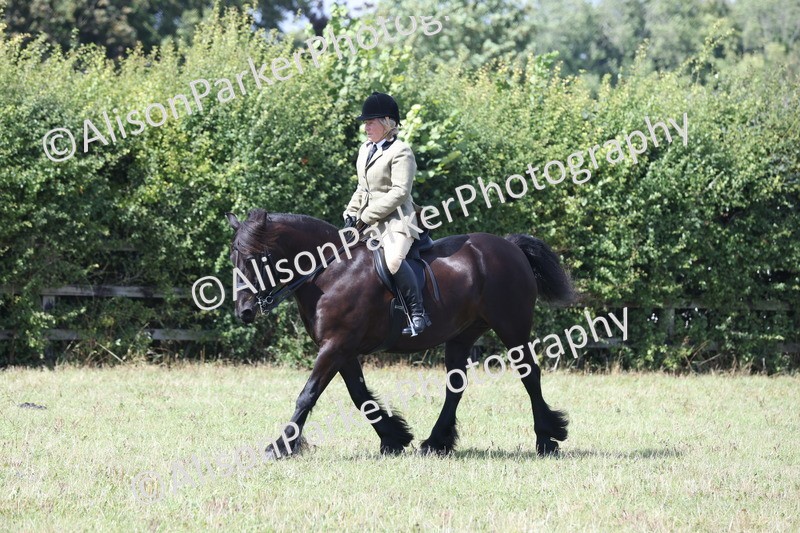 20250831-2959 - Class 19 - Mountain and Moorland