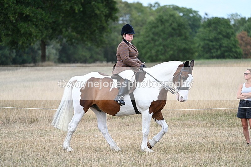 WJ7_5404 - Class 12 Ridden Cob