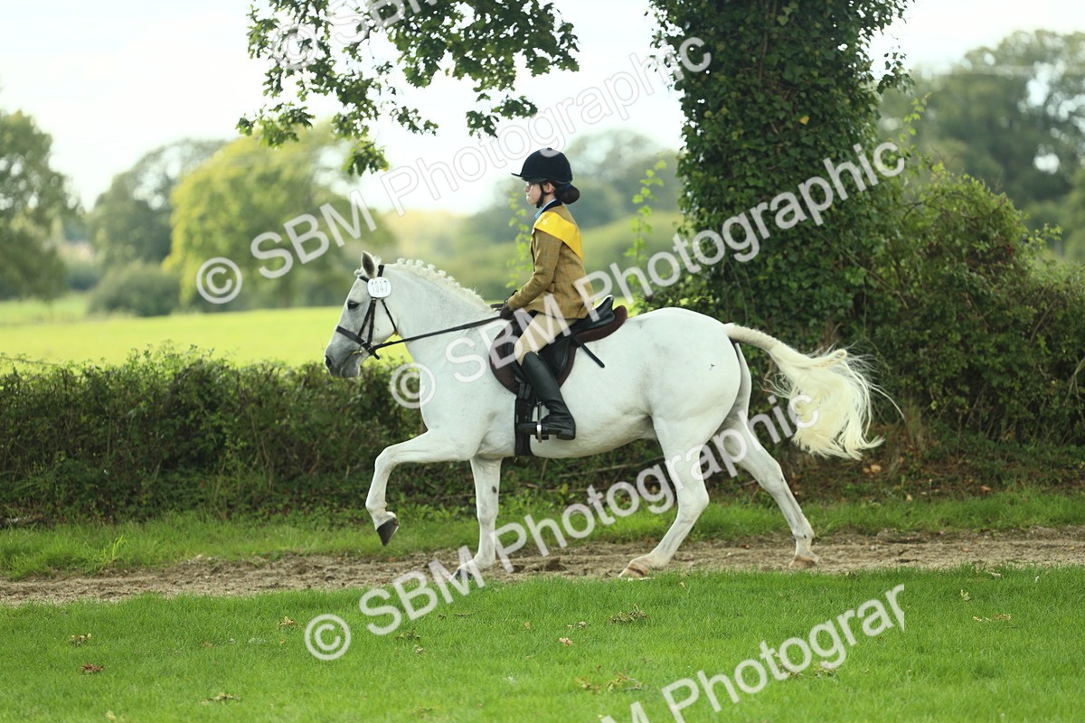 SBM_44942 - Working Hunter Pony Supreme Championship