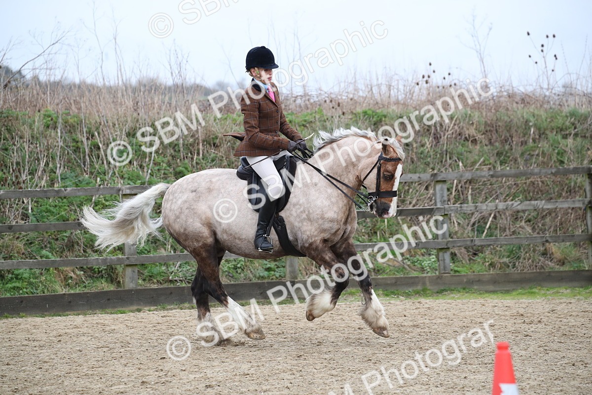 SBM_007181 - Class 10-13 - RIHS Small Large Breeds