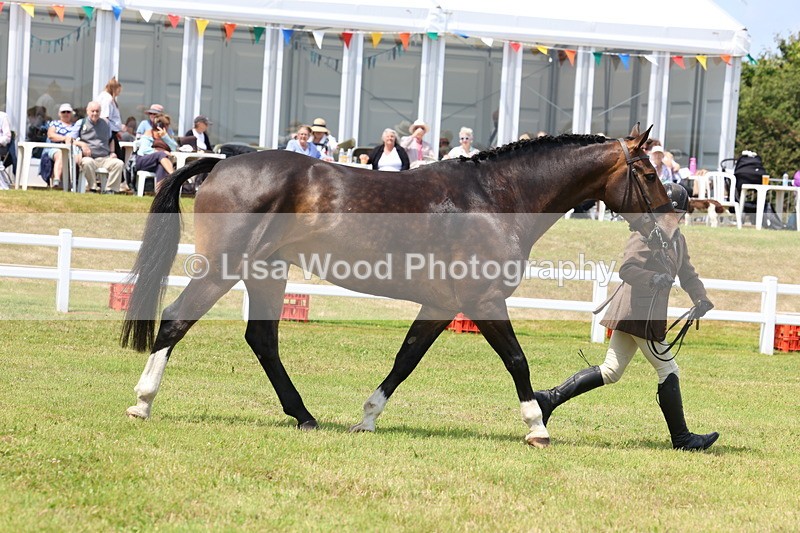 3E7A1751 - Class 9: Open Hunter