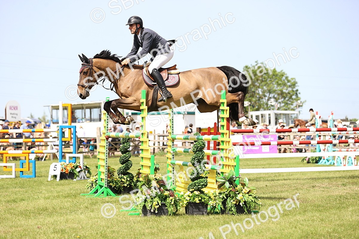 SBM_03244 - Class 201 - British Horse Feedds Speedi Beet HOYS Grade C