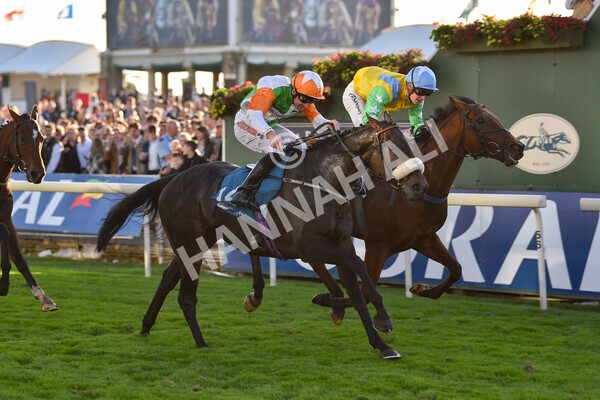 yr08102022r7-43 - Race 7 5.00pm The Coral Gets You Closer To The Action Stakes