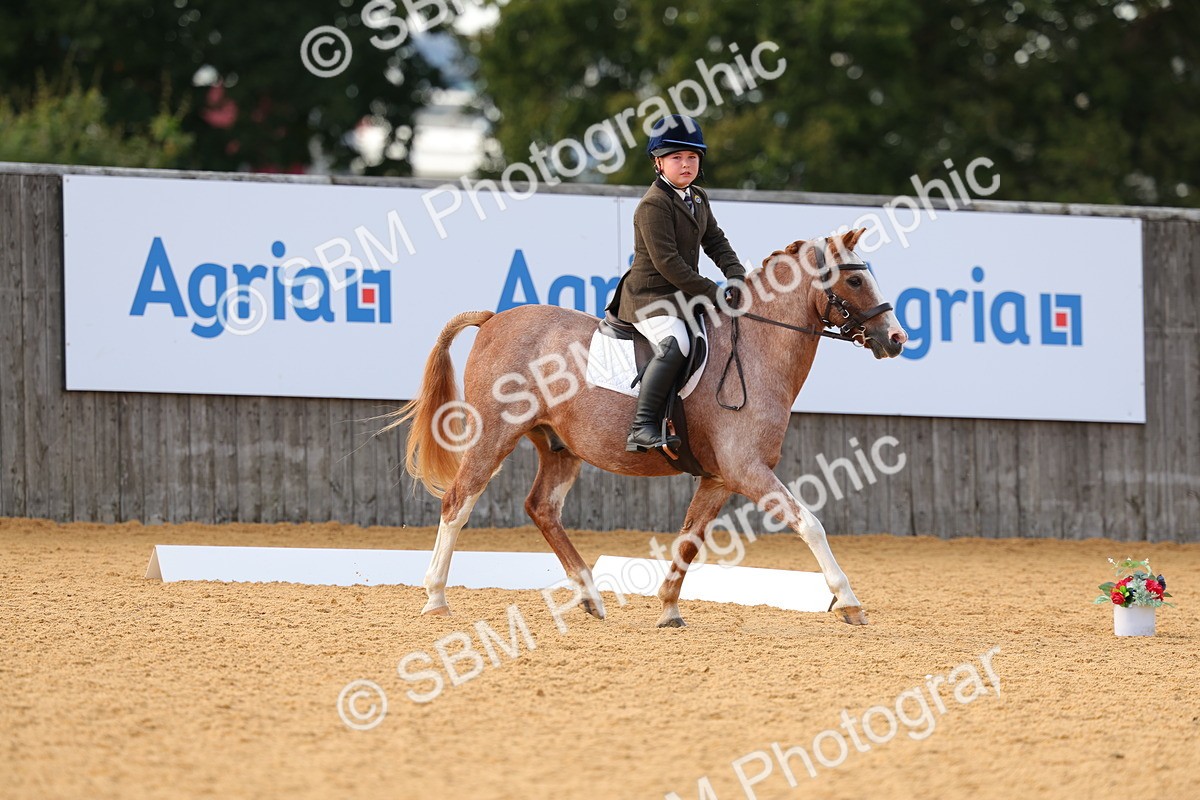 SBM_49730 - D24 - Junior Championship - Prelim 1