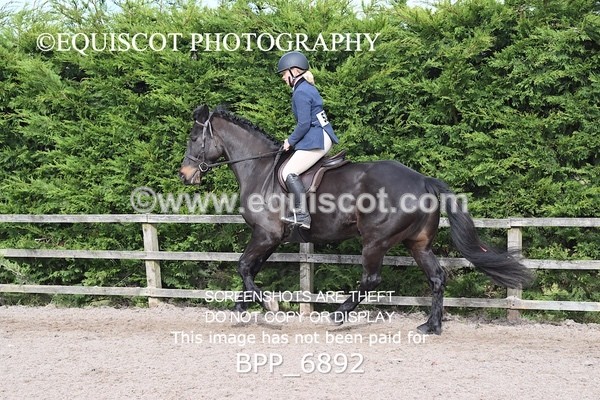 BPP_6892 - RING 1  (RIDDEN HORSES / IN HAND / VETERAN ETC)