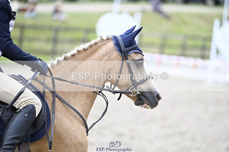 240823X-135650-17884 - 60cm R2 12.30 to 14.40 - All Photos