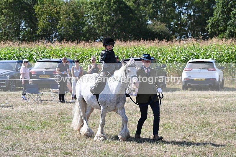 WJ6_7929 - Class 36 Lead Rein