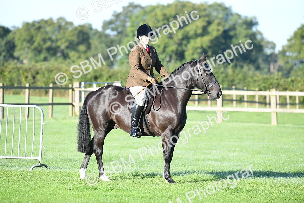 SBM_33999 - S16 - Condition & Turnout - Ridden