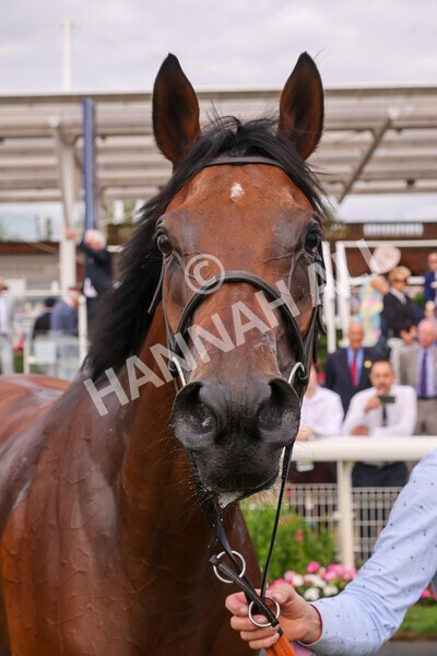 yr19082022r5-51 - Race 5 4.10pm Assured Data Protection EBF Fillies' Stakes