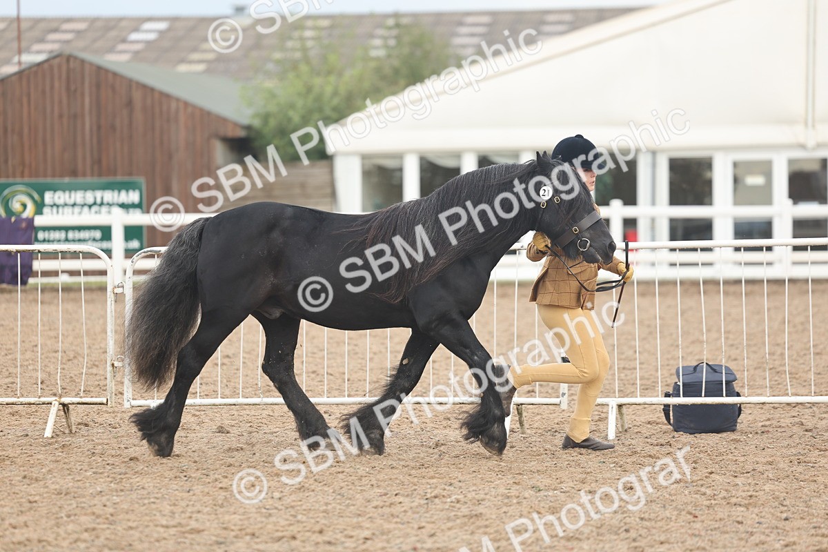 SBM_08428 - Class 29 - IH Veteran Pony