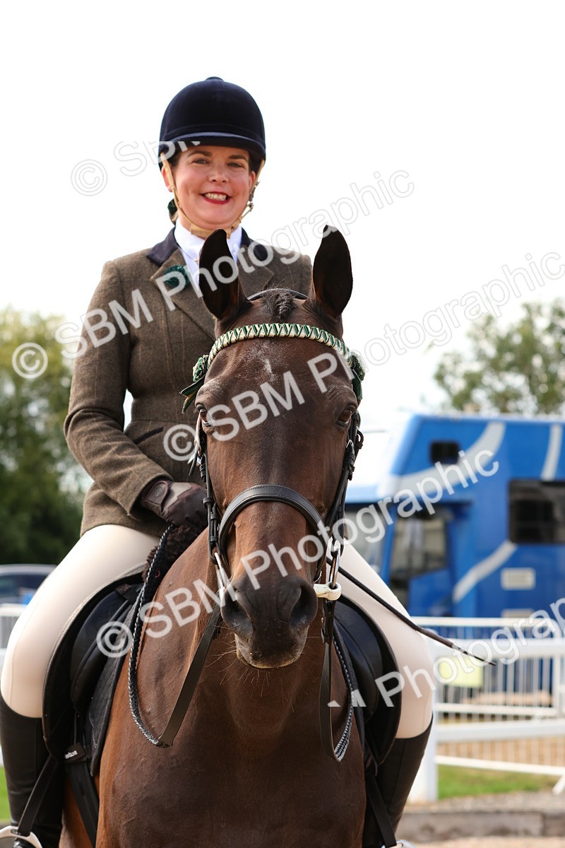 SBM_14142 - Class 213 - Ridden Hack Riding Horse