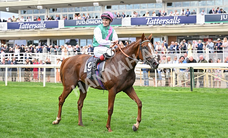 190826-142 Item - Race 4 15.35pm Juddmonte International Stakes