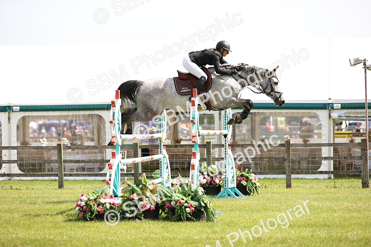 SBM_03181 - Class 201 - British Horse Feedds Speedi Beet HOYS Grade C