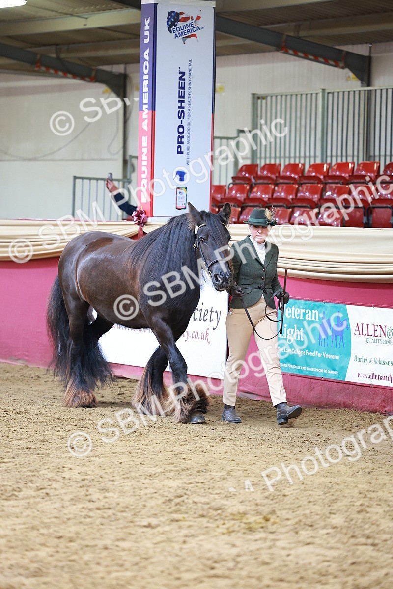 SBM_18530 - Class 903 - Sup Final - IH Pre Vet